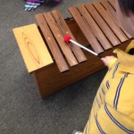 The Bass Xylophone