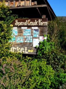 7th grade Sprout Creek Farm 2013 066