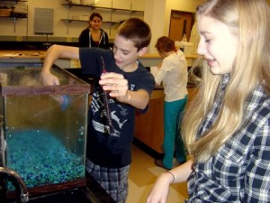 Jacob and Audrey work in the tank