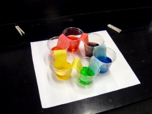 Color combining experiment given just primary colors, empty cups in between, and paper towel bridges to join them